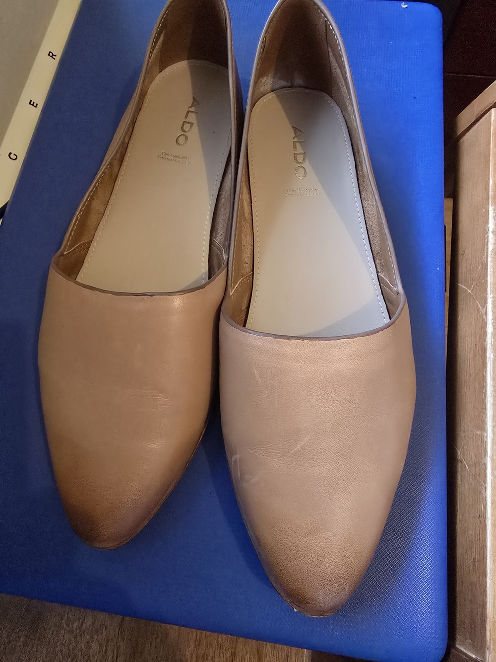 ALDO Women's Taupe Leather Pointed Toe Flats